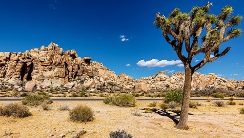 Zbigniew Kuźmiuk: Prezydent USA Donald Trump zrywa z polityką klimatyczną swego poprzednika