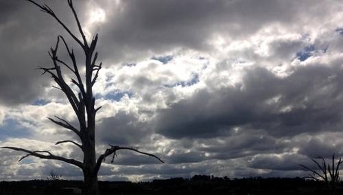 Janusz Wolniak: Nastał bardzo zły czas