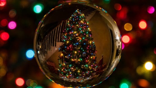 Cezary Krysztopa o bombkach z napisem "konstytucja": Czekam, kiedy zaczną tatuować na czole