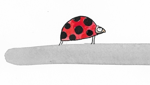 [Kliknij aby zobaczyć całość] Nowy rysunek Michalskiego: "Biedroń"