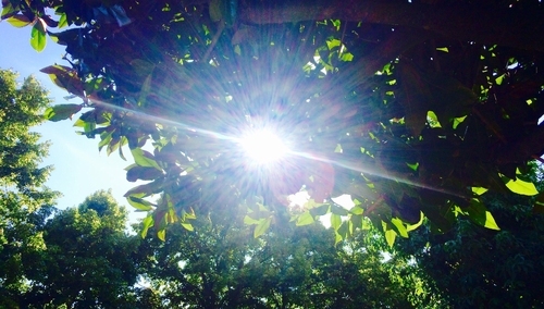 Aleksandra Jakubiak: Przyjemności dla zaawansowanych