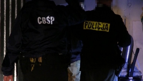 Śląscy policjanci rozbili gang zajmujący się stręczycielstwem