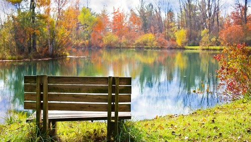 Dziś 17 listopada. Niedziela wolna od handlu