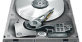 fot. OpenClipart-Vectors