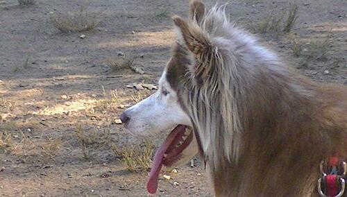 Jerzy Bukowski: Zamknąć mordy!