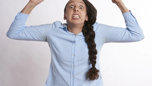 Fritz [tak, ten o którym mówił PAD] porównuje Polskę do... rzeźnika, który nie chce poddać się kontroli