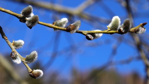 Jutro 3 marca - niedziela wolna od handlu