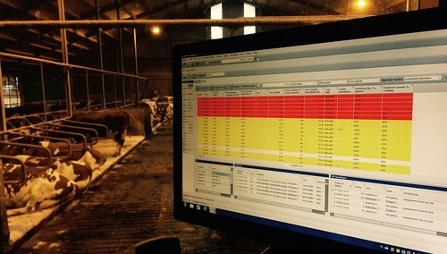 [Nasz wywiad] Dr Mariusz Kicia: Nowe technologie sprawią, że rynek pracy trzeba będzie przedefiniować