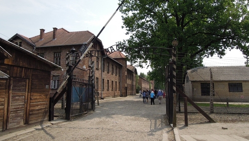 Ewa Zarzycka dla "TS": O trudnej sztuce czytania