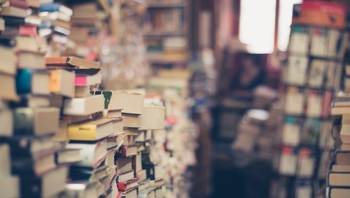 [Felieton "TS"] Cezary Krysztopa: Książkowy wstyd