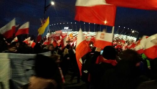 Rosemann: Światowa sieć opluwaczy