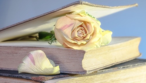 Eurostat: Średnia ilość minut spędzonych na czytaniu książki. Polska... na drugim miejscu