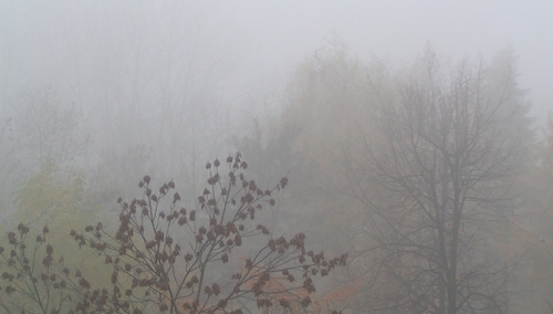 Krzysztof "Toyah" Osiejuk: Smog, czyli Jarosław Kaczyński robi nam druga Japonię