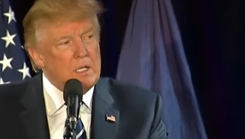 Krysztopa: Czy prezydent Trump przyjedzie do Polski zapytać jak sobie radzić z "obrońcami demokracji"?