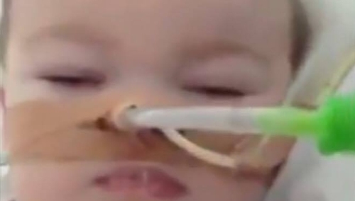 [Wideo] Polska lekarka Alfiego Evansa: To nie jest umierające dziecko!