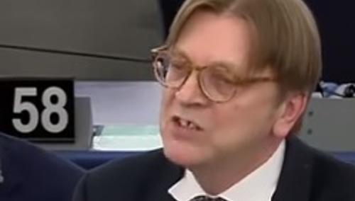 "Cheerleaderki Putina" Dominika Cosic: Za te słowa ktoś powinien p. Verhofstadta podać do sądu