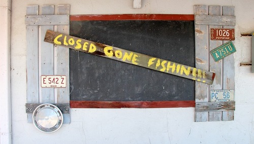 Petru chciał udowodnić, że w Niemczech sklepy otwarte... Internet płacze ze śmiechu. Komentarze