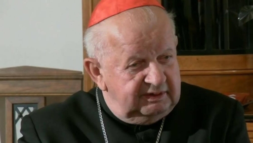 Kard. Dziwisz: "Ta płonąca katedra to symbol płonącej Europy"