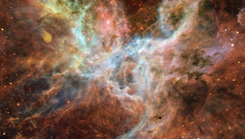 Chwytak polskich inżynierów może pomóc w łapaniu kosmicznych śmieci