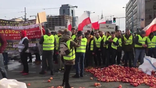 [video] Rolnicy z AGROunii protestowali w cetrum Warszawy. Na ulicach świńskie tusze