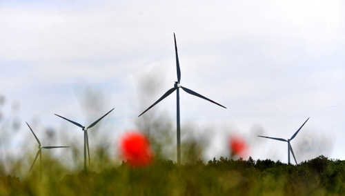 Grupa PGE otworzyła dwie farmy wiatrowe. Zasilą w energię miasto wielkości Lublina