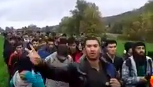 Grzegorz J. Kałuża: Przyczyna zgonu – wirus „multikulti”