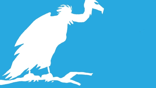 Media o blokadzie twitterowego konta Tygodnika Solidarność: Blokowane są treści niepoprawne politycznie