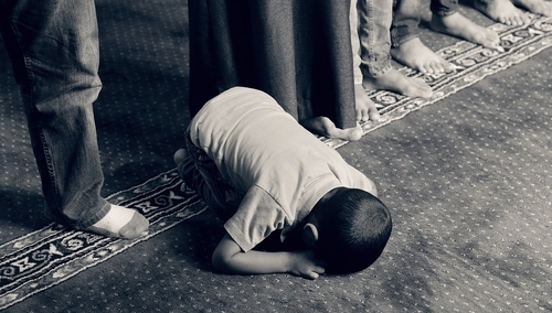 Prof. Marek Jan Chodakiewicz dla "TS": Siódmaki i Dwunastaki