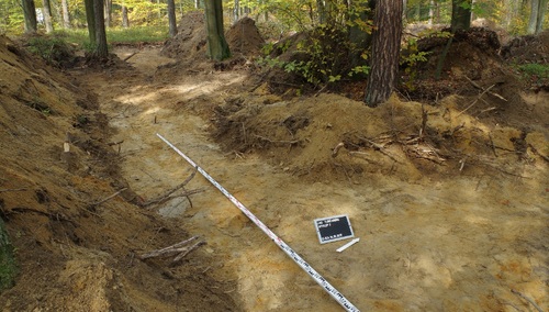 IPN ogłasza miejsce kolejnych prac poszukiwawczych