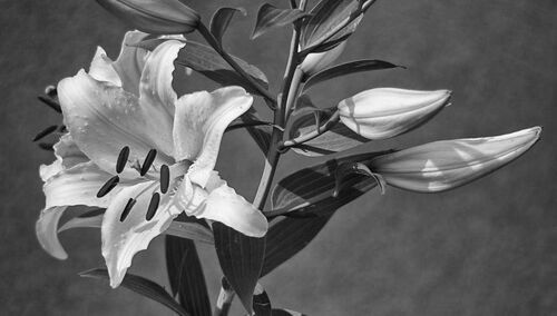 Wyrazy współczucia