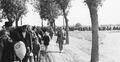 By Bundesarchiv, R 49 Bild-0131 / Wilhelm Holtfreter / CC-BY-SA 3.0 de