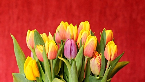 "Podziękowania ludziom oświaty za codzienny wysiłek, bo on w szkole jest najważniejszy"