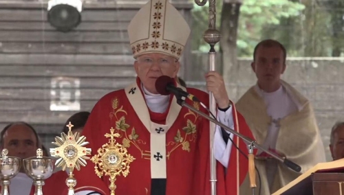 [video] Homilia abp. Jędraszewskiego z Auschwitz: "Wszędzie gdzie jest Kościół, byli także męczennicy"