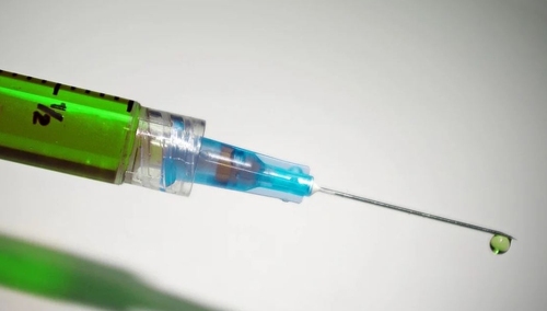 Zabili ją "jak psa". W Belgii proces ws. eutanazji zdrowej kobiety