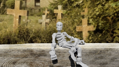 [Felieton "TS"] Cezary Krysztopa: Wszyscy umarniemy