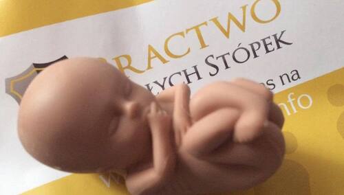 Atak "Głosu Szczecińskiego" na rekolekcje pro-life Bractwa Małych Stópek