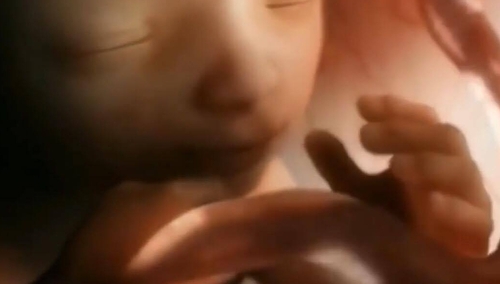 [Petycja do premiera] Ordo Iuris: Na szczycie ONZ w Nairobi ma być forsowana aborcja i edukacja seksualna