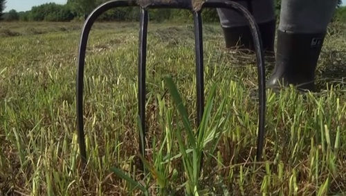 Piotr Wolter: O czym nie wiedzą niedouczone chamy z Polski?