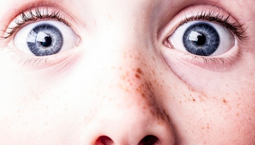 Abp Jędraszewski w "Brunatnej Księdze" "Nigdy Więcej". Sprawdziliśmy kto jeszcze. Czego tam nie ma!