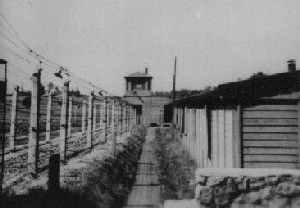 Światowy Kongres Żydów: 1/3 Europejczyków nie wie nic o Holokauscie