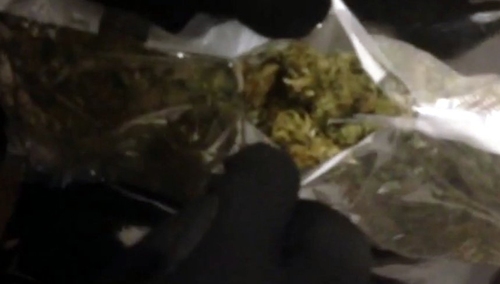 Policjanci przejęli 112 kilogramów marihuany wartej 3 mln zł. w transporcie z mandarynkami