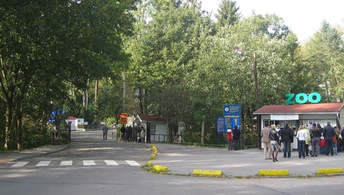 Gdańskie ZOO zapewnia, że... orientacja seksualna jego podopiecznych jest ich prywatną sprawą