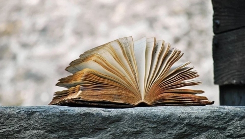 Prawy Sierpowy Mikroblog: Bajka o Kopertniku