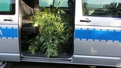 Życie nie okazało się filmem. Handlując narkotykami chciał spłacić kredyt