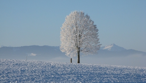 UWAGA! Nadchodzi sroga zima! Temperatura spadnie nawet do minus 17 stopni Celsjusza