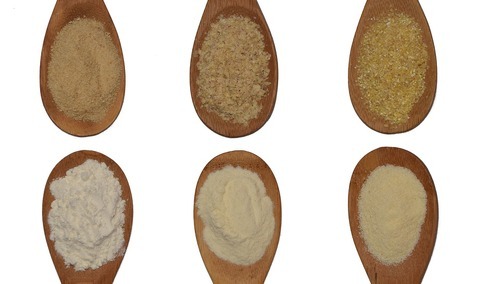 Stare odmiany zbóż wracają do łask