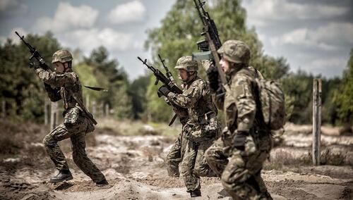 [PSL] Kosiniak-Kamysz proponuje likwidację Obrony Terytorialnej