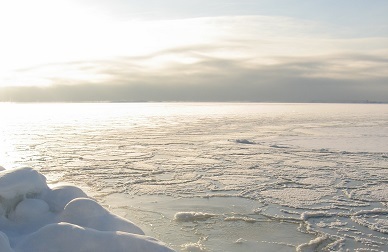 Ks. Marek Radomski: Adwent u bram serca