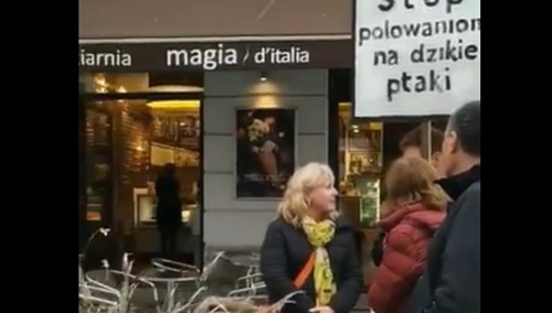 [video] Czarna komedia. W Wiśle katastrofa ekologiczna a ekolodzy w Warszawie o polowaniu na dzikie ptaki
