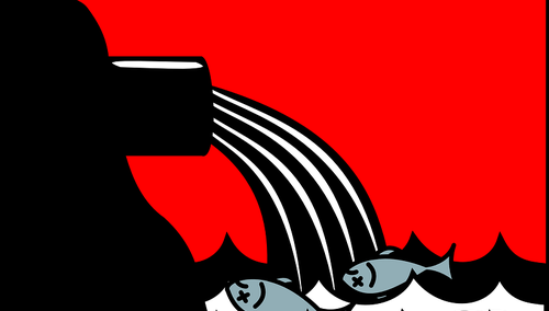 Ministerstwo publikuje mapę miejsc z zakazem kąpieli w Wiśle. Zastoiska zanieczyszczeń w wielu miejscach